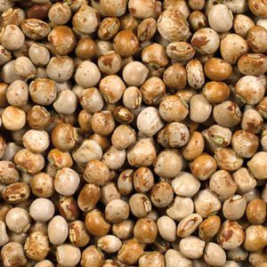 Pois d’Angole 1KG