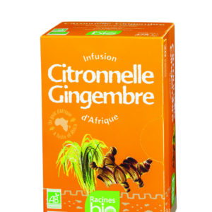 Infusion d'Afrique bio citr. ging 20 sach x 1.6gr