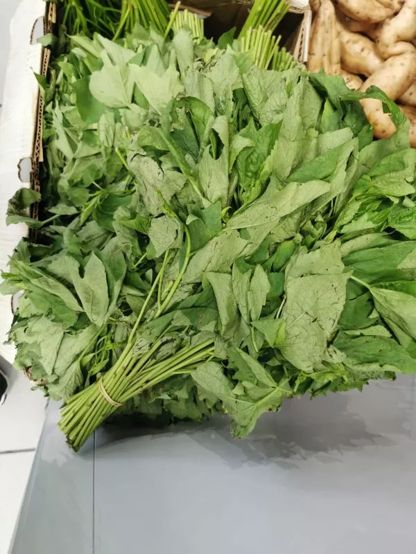 Feuille fraîche de bissap oseille 500gr – Image 2