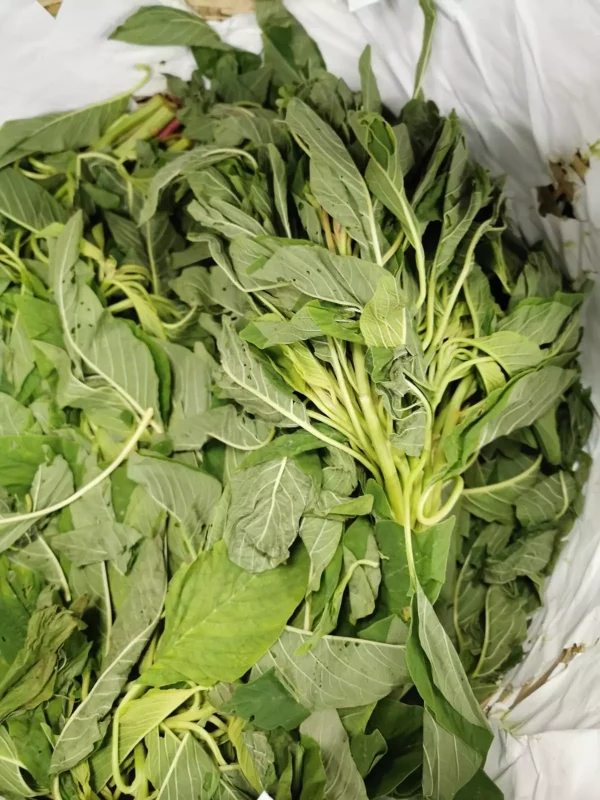 Feuille de folon biteku teku fraîche 500gr – Image 2