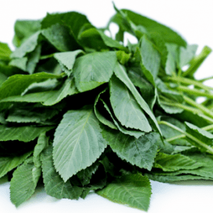 Feuille de lalo, molokhia fraîche 500gr