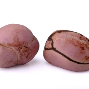 Noix de cola 3 Pièces