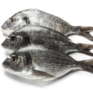 Dorade royale grise 5kg
