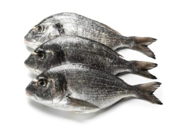 Dorade royale grise 5kg