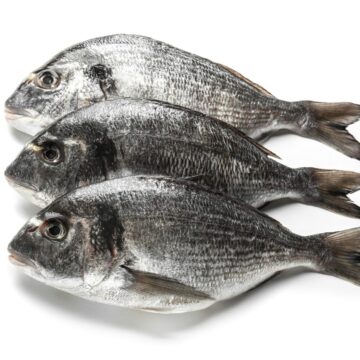 Fresh,Dorado,Fish,On,White,Background