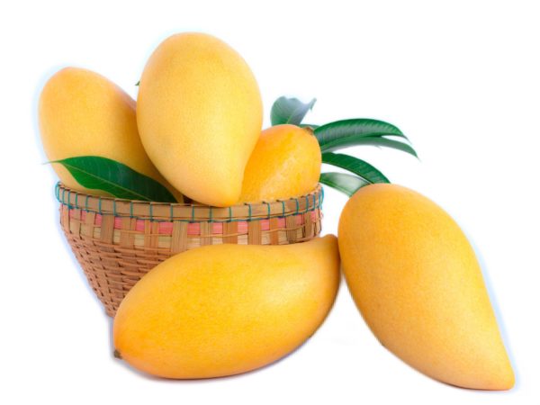 Petite Mangue juteuse et parfumé 3 pièces