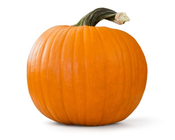 Potiron 3kg