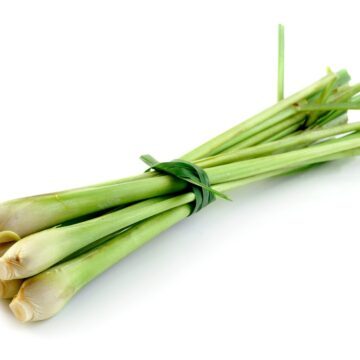 Lemon,Grass,On,White,Background