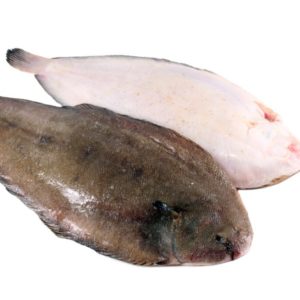 Grosse Sole sénégal 1 poisson