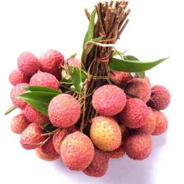 Top,View,Fresh,Lychees,With,Leaves,And,Branches,Isolated,On
