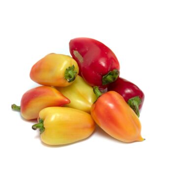 Bell,Pepper,On,A,White,Background.