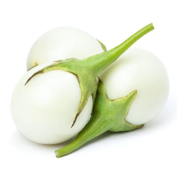 Thai,White,Egg,Plant,Isolated,On,White,Background.,Clipping,Path.