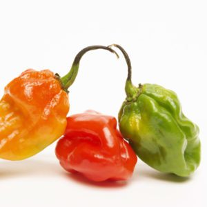 Piment antillais bicolore 100gr