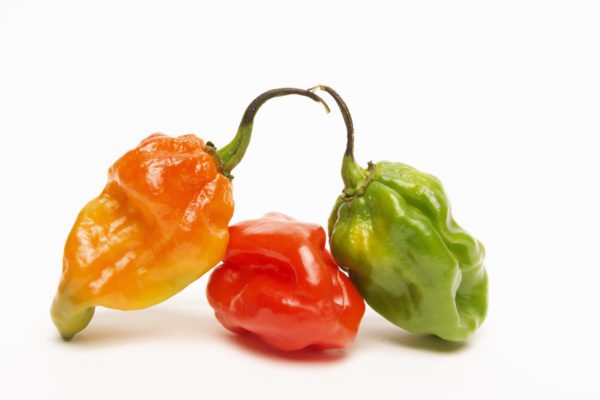 Piment antillais bicolore 100gr