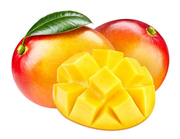 Mangue juteuse et parfumé kent 1 pièce – Image 2