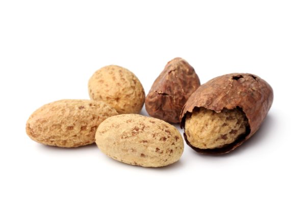 Noix de petite kola 6 pièces