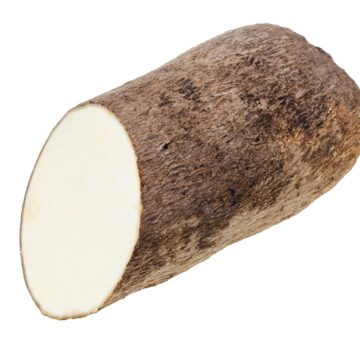 Half,Of,Tuber,Of,African,Yam,Isolated,On,White,Background