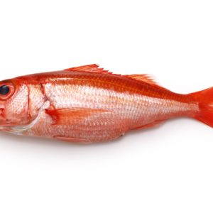 Vivaneau Guyanne 1kg