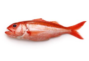 Vivaneau Guyanne 1kg