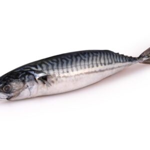 Maquereau de Norvège 3 poissons