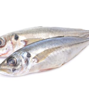 Chinchard / Maquereau/Thomson 2 poissons