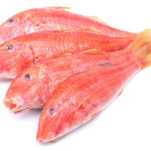 Rouget du sénégal 3 poissons