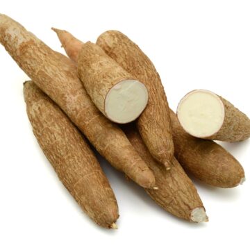 Fresh,Cassava,Isolated,On,A,White,Background