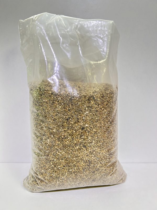 Graine de mil Senegal 1kg – Image 3