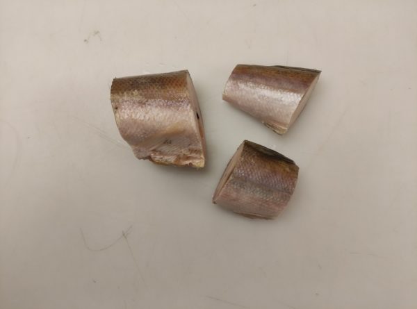 Darne de barracuda 1kg – Image 3