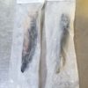Poisson chat/ silure (1-1,3kg) – Image 4