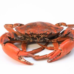 Morceaux de crabe de mangrove 1kg