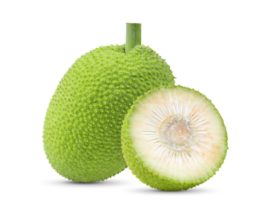 Fruit à pain