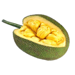 Fruit de Jacques Mexique