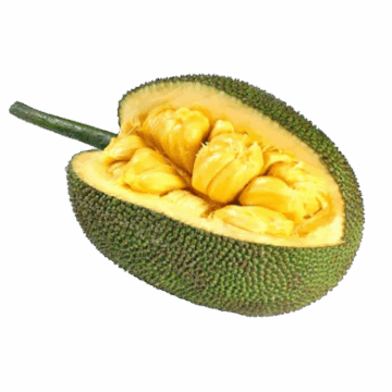 fruit-de-jacque-mexique