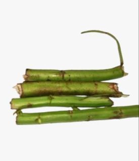 Tige de kwi-nkui-cuii-kui-cuir (x3)