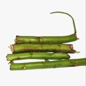 Tige de kwi-nkui-cuii-kui-cuir (x3)