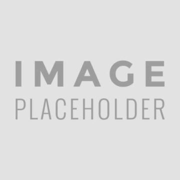 placeholder-fallback